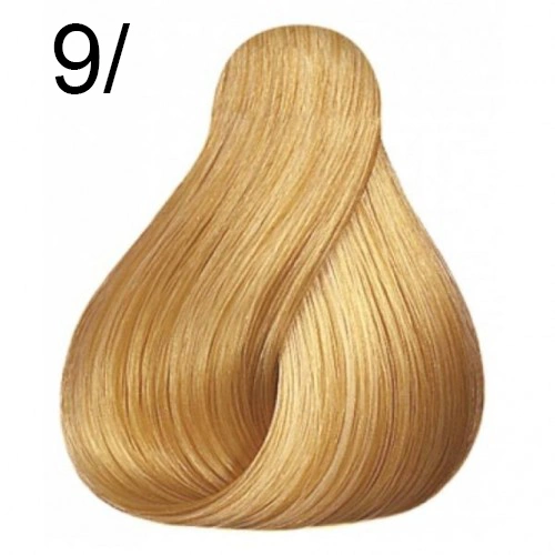Fő kép